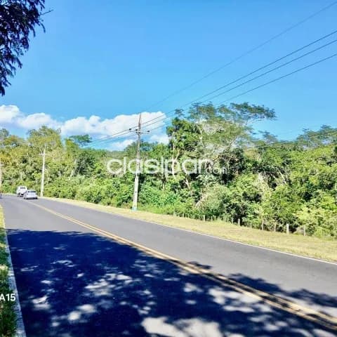 Terreno Rural en Nueva Colombia sobre Ruta - 11 Ha, foto 3