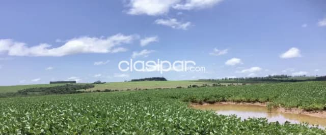 Campo Agrícola Mecanizado en Santa Rita - 1223 Ha — foto 2