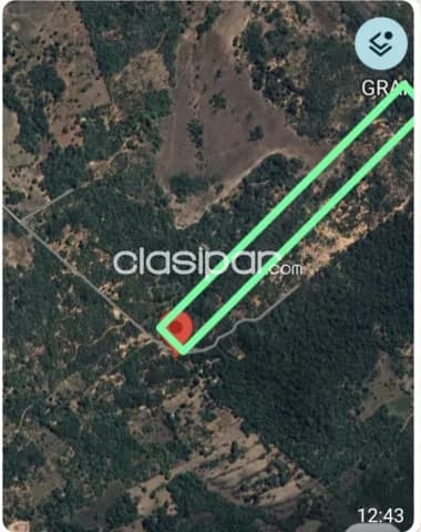 Oferta de terreno de 20 ha.en Altos — foto 3