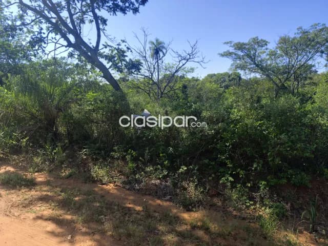 Oferta de terreno de 20 ha.en Altos — foto 4
