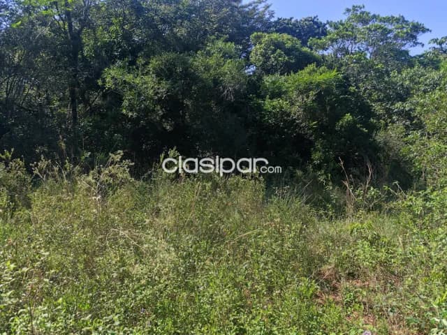 Oferta de terreno de 20 ha.en Altos — foto 5