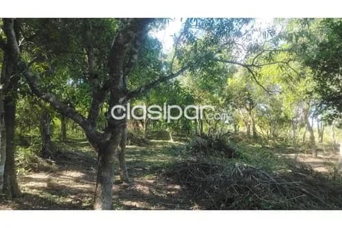 En venta 2 terrenos en Loma Grande - Agua-Y, foto 5