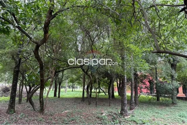 Terreno Altos cordillera — foto 5