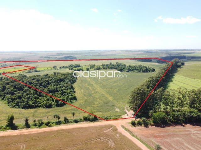 Campo Agrícola Mecanizado en Itakyry - 208 Ha