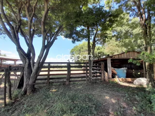 Campo Agrícola Mecanizado en Itakyry - 208 Ha, foto 5