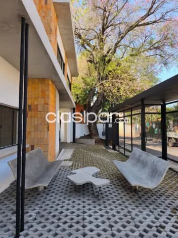 Departamento 1 dormitorio Las Mercedes — foto 5