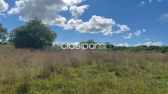 45 hectareas en paraguari cerca de cañada, roque gonzales cod 3449 — foto 2