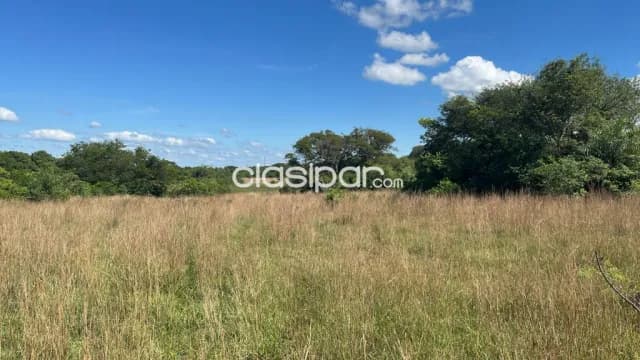 45 hectareas en paraguari cerca de cañada, roque gonzales cod 3449 — foto 3