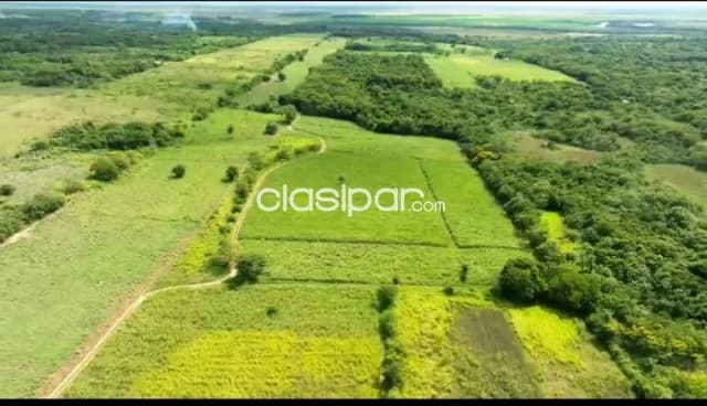 Granja en Arroyos y Esteros - 55 Ha, foto 4