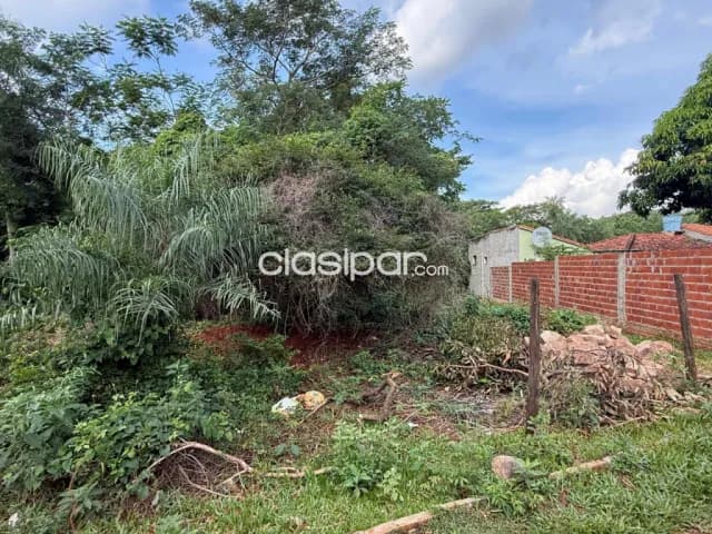 En venta Terreno de 1 Hectárea en Loma Merlo. Luque, foto 5