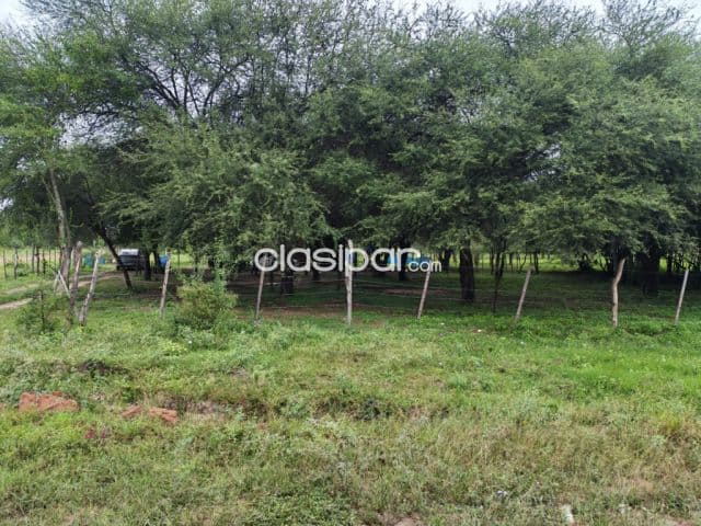 Terreno en nueva asuncion
