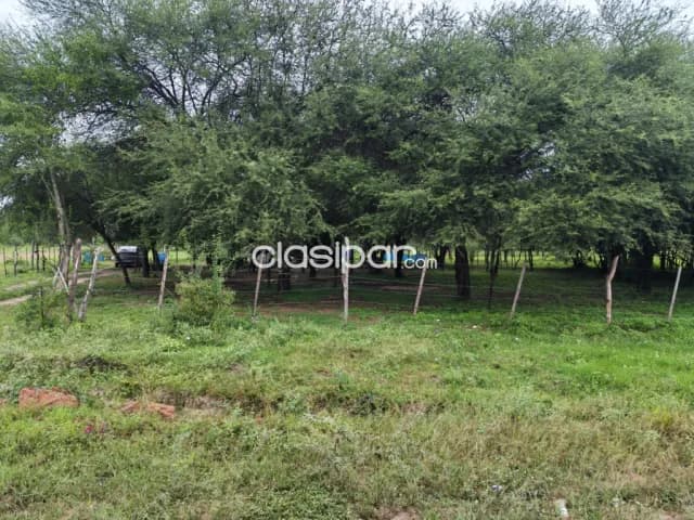Terreno en nueva asuncion, foto 2