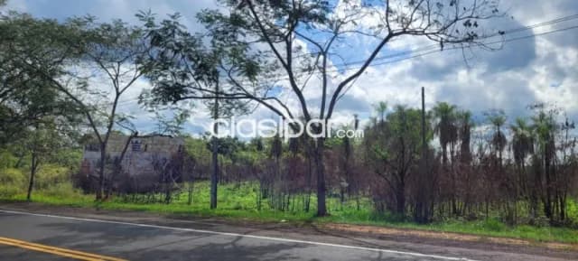 Hermoso y amplio terreno sobre ruta py02 en itacurubi de la cordillera, foto 4