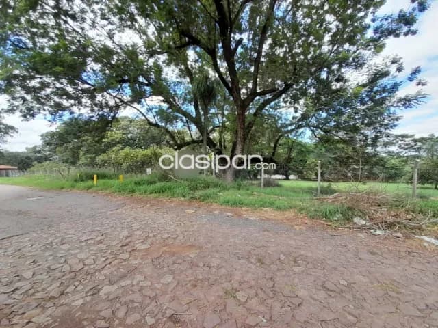 En venta 19 lotes en lambare, foto 4