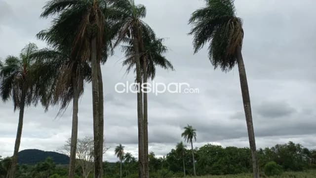 Hermosa Propiedad de 25 Hectáreas en Quiindy — foto 2