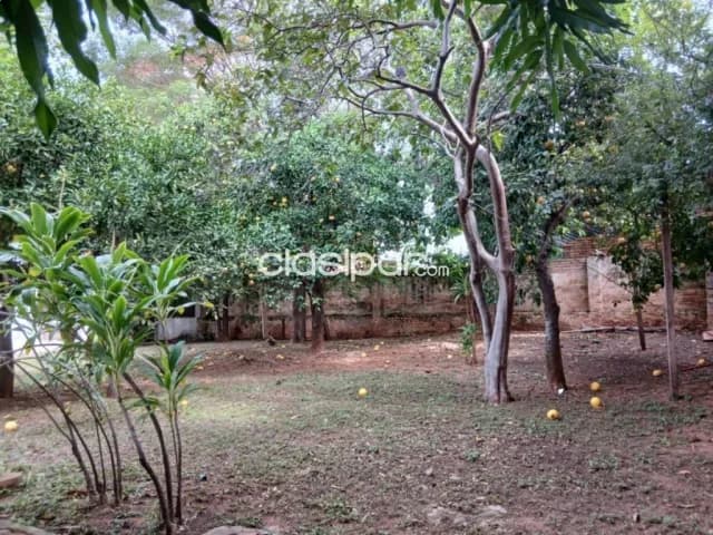 Terreno en barrio mburicaó, foto 5