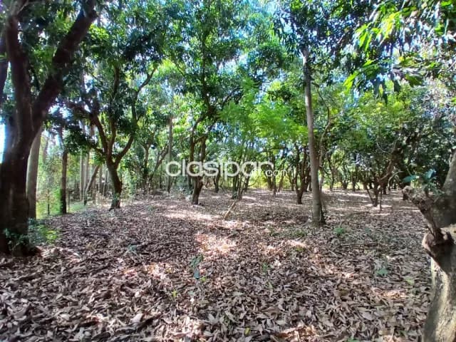Atyra Quinta Belvedere 2500 m2, foto 3