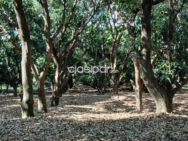 Atyra Quinta Belvedere 2500 m2, foto 5