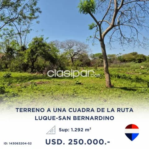 Amplio terreno 3.492 m² en Luque — foto 4
