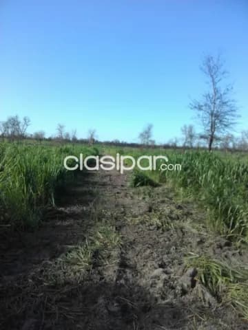Campo de 3.356 Hectáreas en el Chaco, Zona Agua Dulce - CLCS8004672 — foto 2