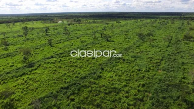 Campo de 3.356 Hectáreas en el Chaco, Zona Agua Dulce - CLCS8004672 — foto 4