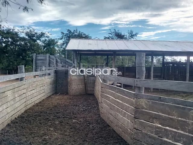 Campo de 3.356 Hectáreas en el Chaco, Zona Agua Dulce - CLCS8004672 — foto 5