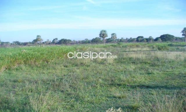 Propiedad Rural de 3 Lotes, Ubicada en Buey Rodeo, Villeta - CLCS8005532