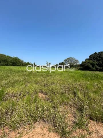 Terreno en Luque, foto 4
