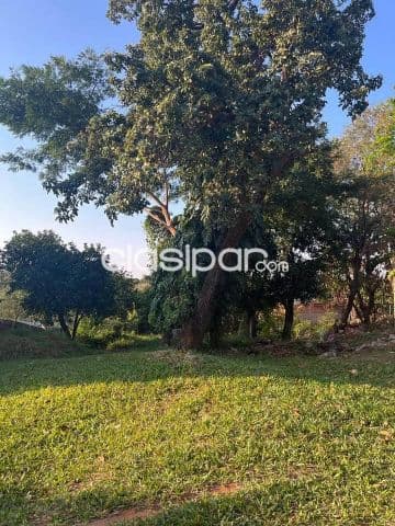 Terreno de 12x30 m2 en barrio Barcequillo de San Lorenzo zona Stock Leopardi