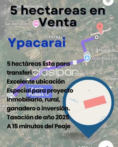 5 hectáreas en Ypacarai, foto 5