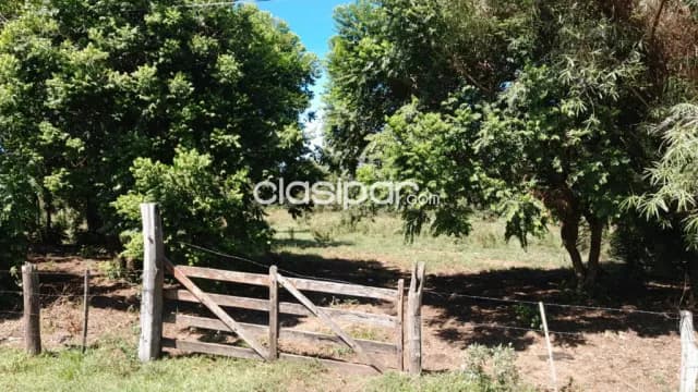 Se vende Terreno de 22,5 hectáreas en Coratei. Distrito de Ayolas, foto 3