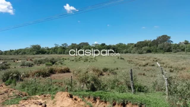 Se vende Terreno de 22,5 hectáreas en Coratei. Distrito de Ayolas, foto 4