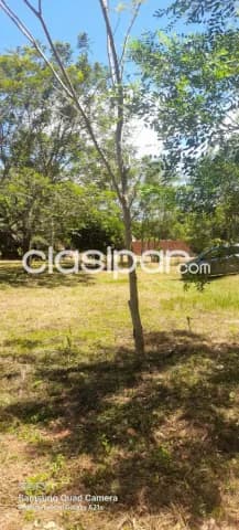 Terreno Venta Ñemby, foto 3