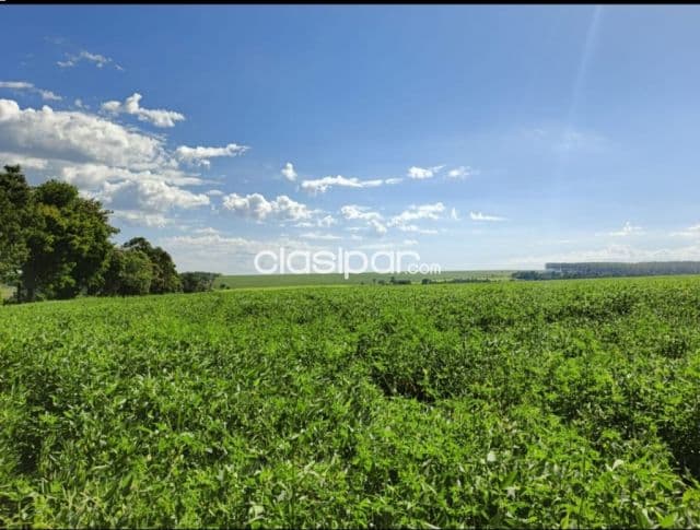Se Vende Propiedad Rural en Alto Paraná