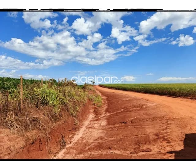 Se Vende Propiedad Rural en Alto Paraná, foto 3