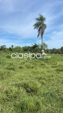 Terreno en venta - Fracción Ita Moroti Piribebuy, foto 4