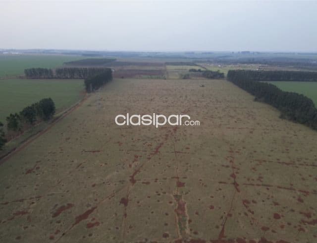 Campo Agrícola Mecanizado en Hernandarias sobre Ruta - 40 Ha