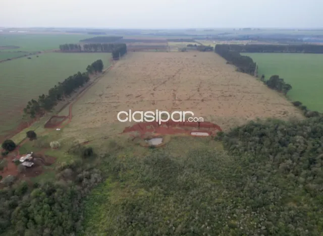 Campo Agrícola Mecanizado en Hernandarias sobre Ruta - 40 Ha — foto 3