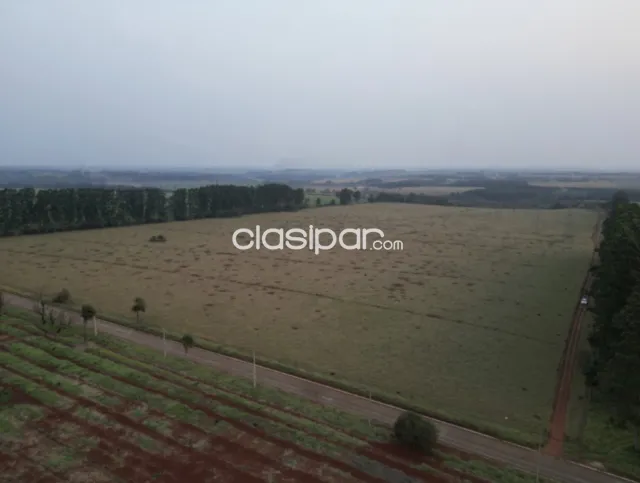 Campo Agrícola Mecanizado en Hernandarias sobre Ruta - 40 Ha — foto 4