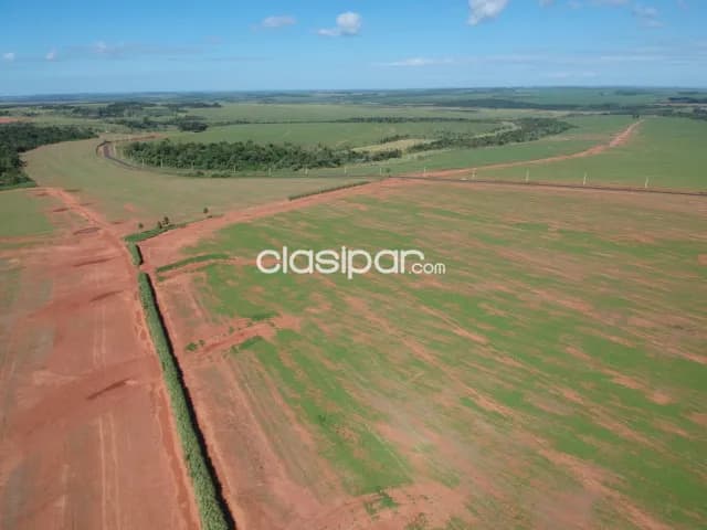 Campo Agrícola Mecanizado en Itakyry - 211 Ha, foto 2