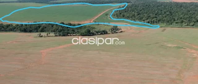 Campo Agrícola Mecanizado en Itakyry - 211 Ha, foto 3