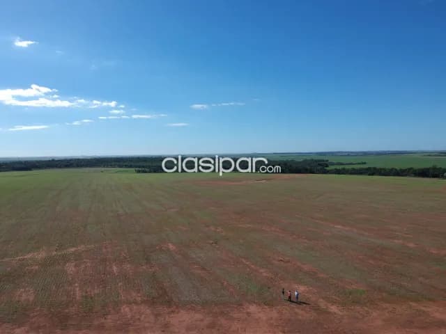 Campo Agrícola Mecanizado en Itakyry - 211 Ha, foto 4