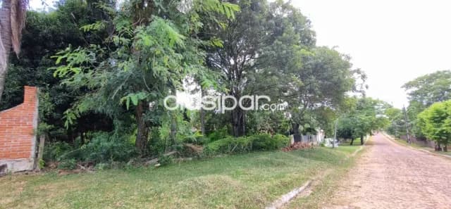 Terreno en villa florida, foto 4