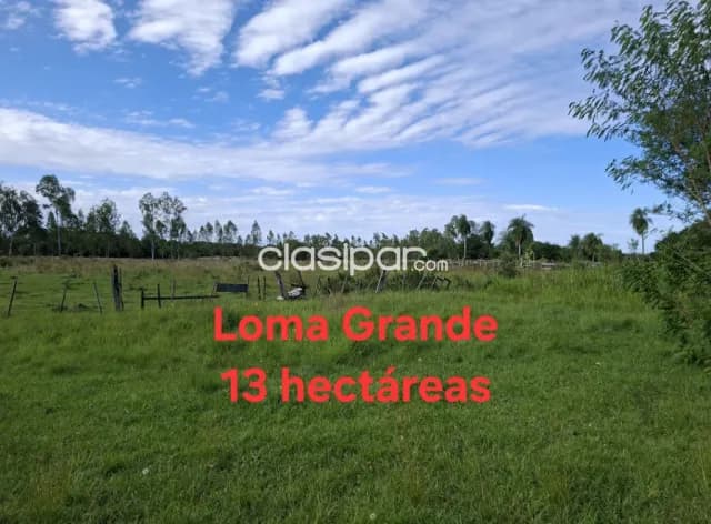 en Loma Grande, 13 hectáreas — foto 3