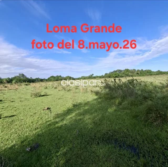 en Loma Grande, 13 hectáreas — foto 4