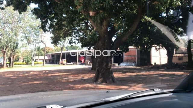 Depositos con oficina, foto 4