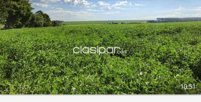 Se Vende Propiedad AgroGanadera — foto 1