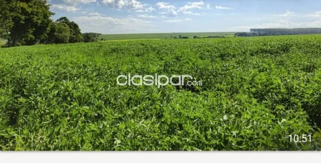 Se Vende Propiedad AgroGanadera — foto 2