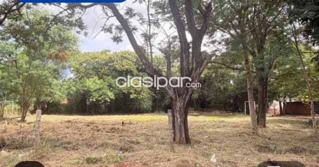 Terreno 780m2 bo.campo grande Luque límite c/asuncion bo.ytay, foto 1