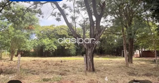 Terreno 780m2 bo.campo grande Luque límite c/asuncion bo.ytay, foto 2